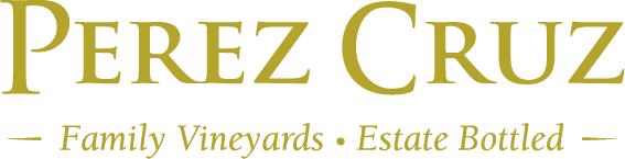 Logo 27